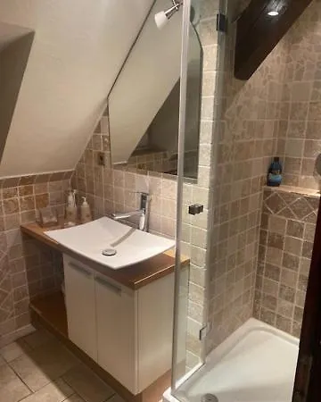 Apartamento Galeriewohnung Mit Sauna. Solarium Und Fitnessgeraten Núremberg