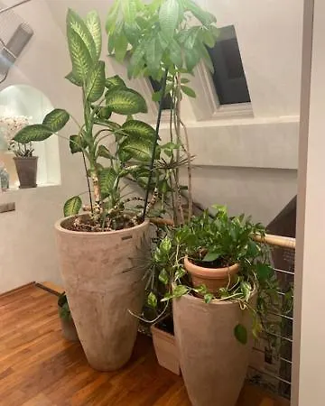 Galeriewohnung Mit Sauna. Solarium Und Fitnessgeraten