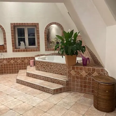 Galeriewohnung Mit Sauna. Solarium Und Fitnessgeraten 纽伦堡