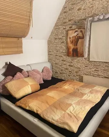 Galeriewohnung Mit Sauna. Solarium Und Fitnessgeraten * Núremberg