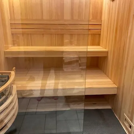 Galeriewohnung Mit Sauna. Solarium Und Fitnessgeraten 纽伦堡